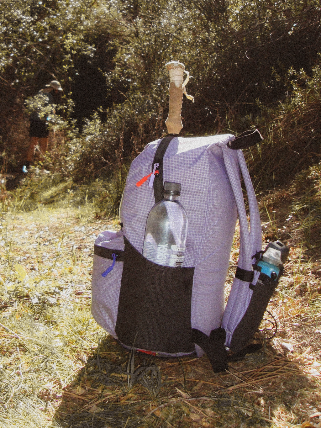 grasshopper's pocket