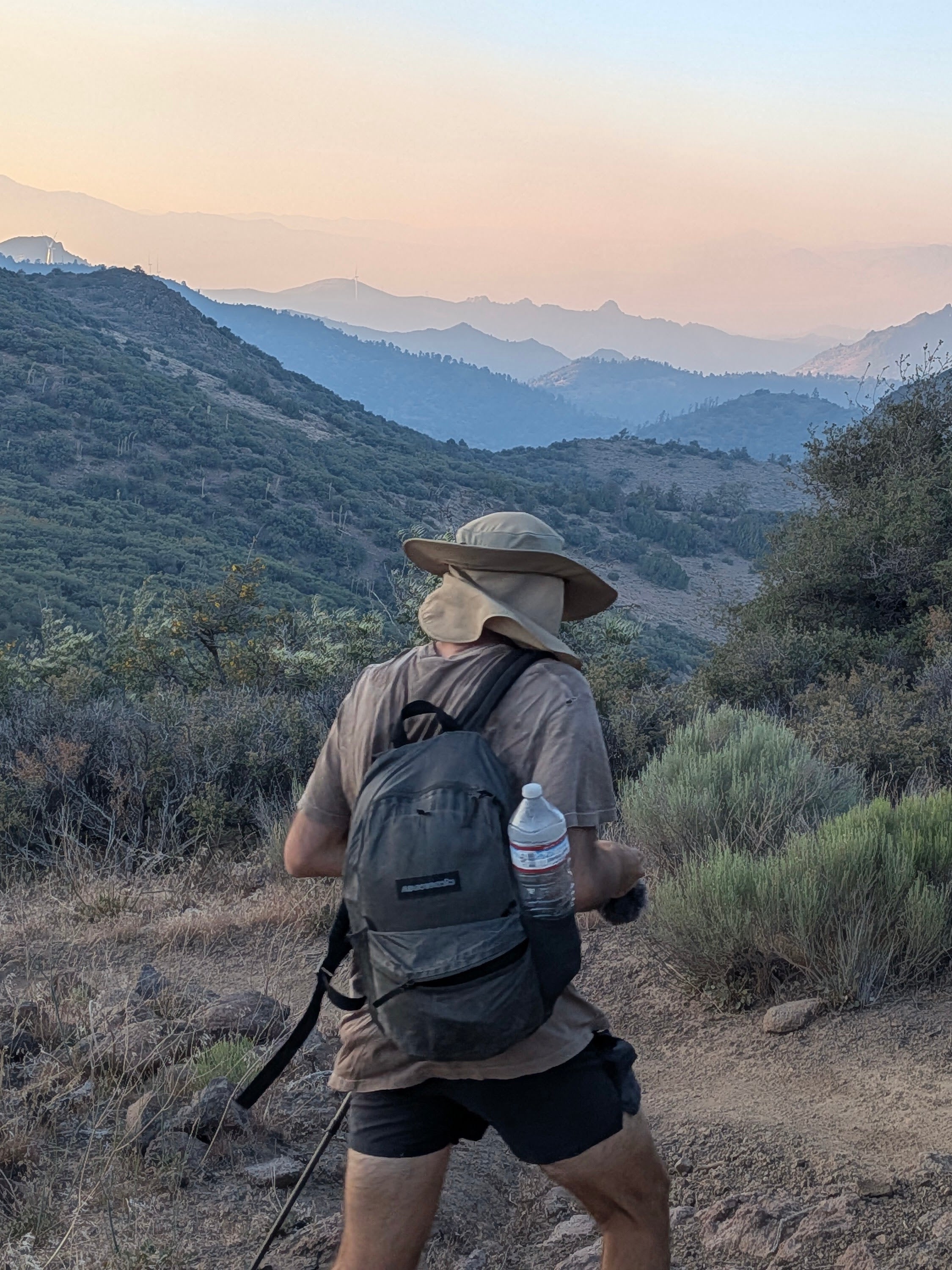 grasshopper (22L) – Meadowphysics